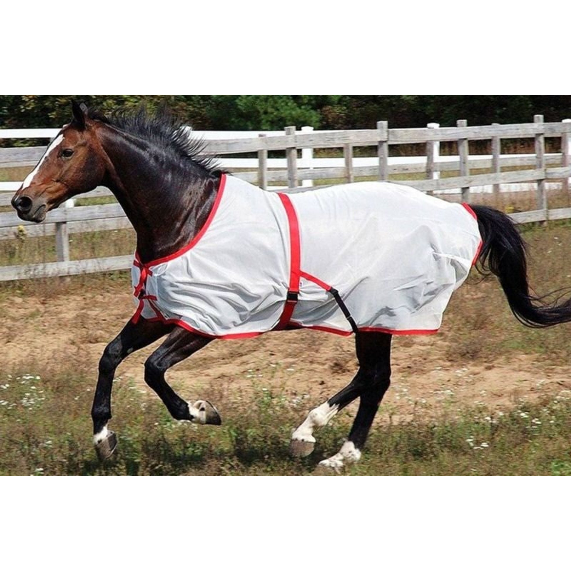 Saratoga Horseworks Summer Turnout 68 White/Black