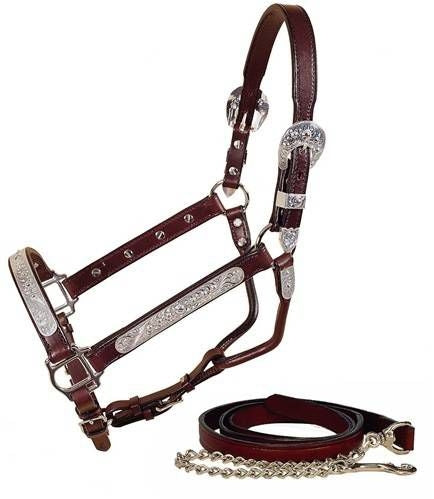 Tory Leather Pecos Bill Silver Show Halter with Lead