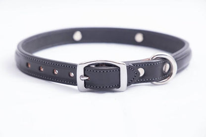 Tory Leather Raised Dog Collar with Nickel Bit 18"