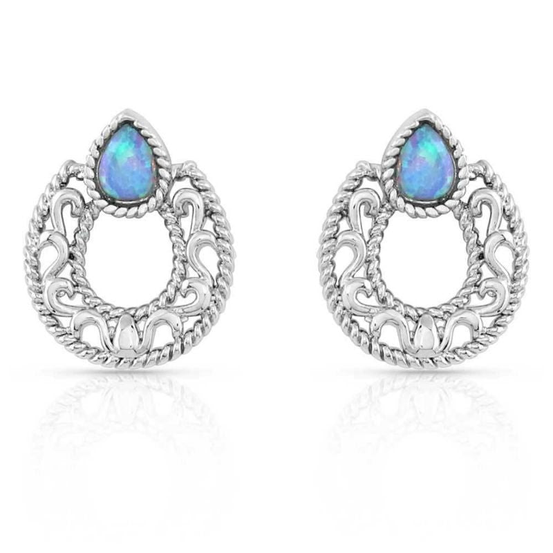 Montana Silversmiths Roped In Horseshoe Earrings