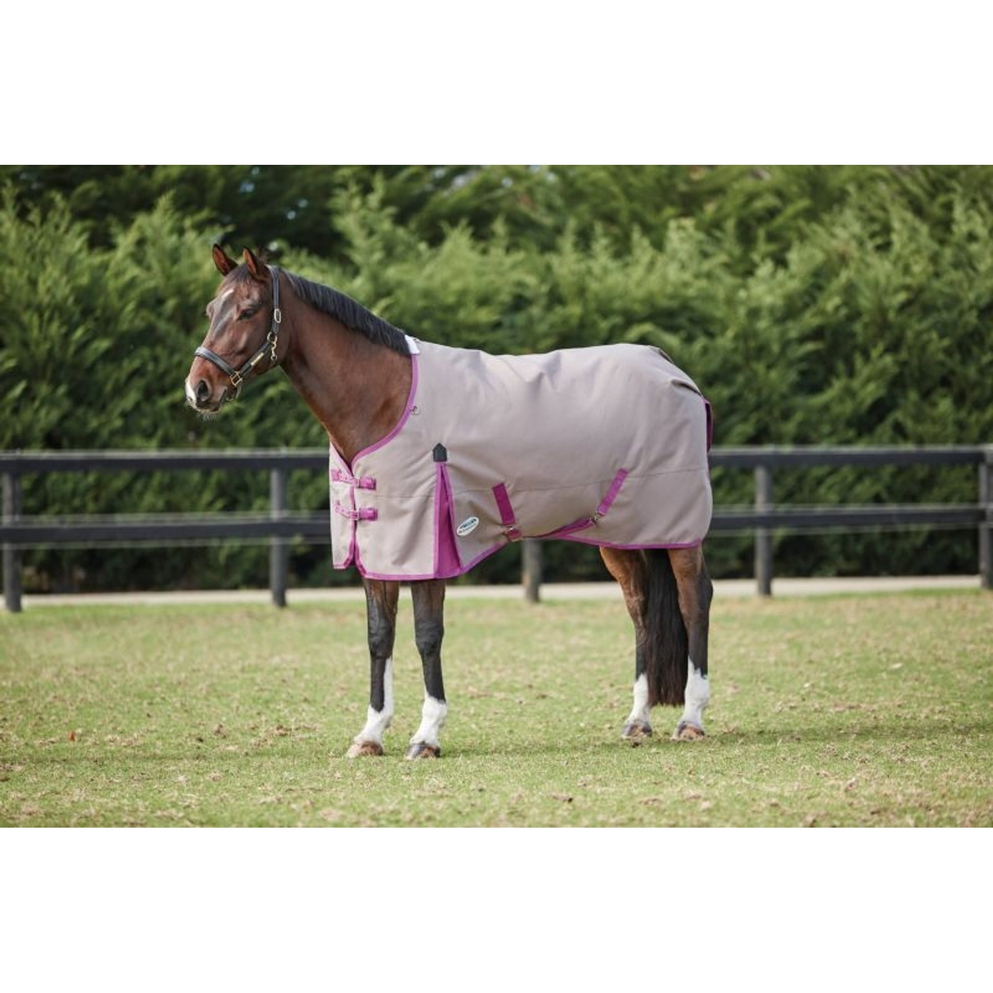 Weatherbeeta ComFiTec Essential Standard Neck Lite