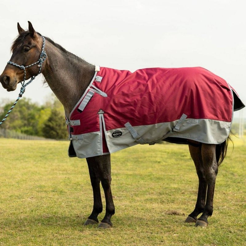 Reinsman Premium Winter Blanket 300G