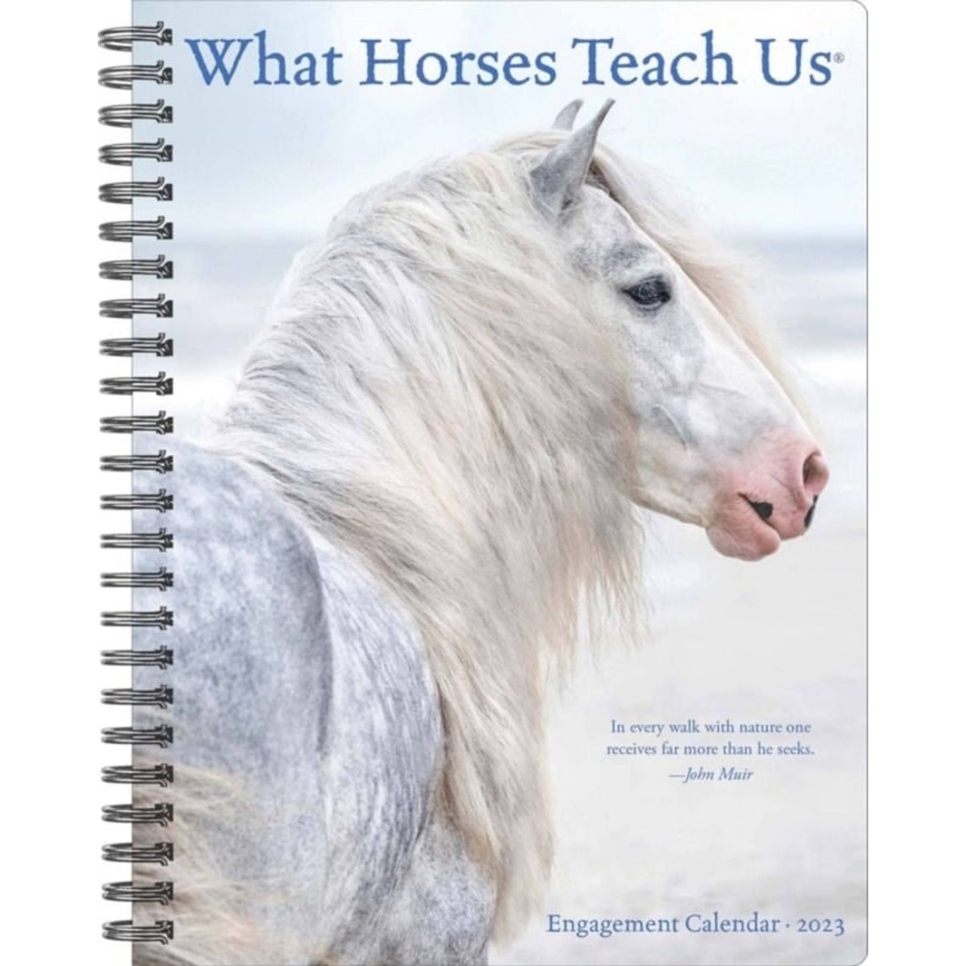 Kelley What Horses Teach Us 2023 Engagement Calend