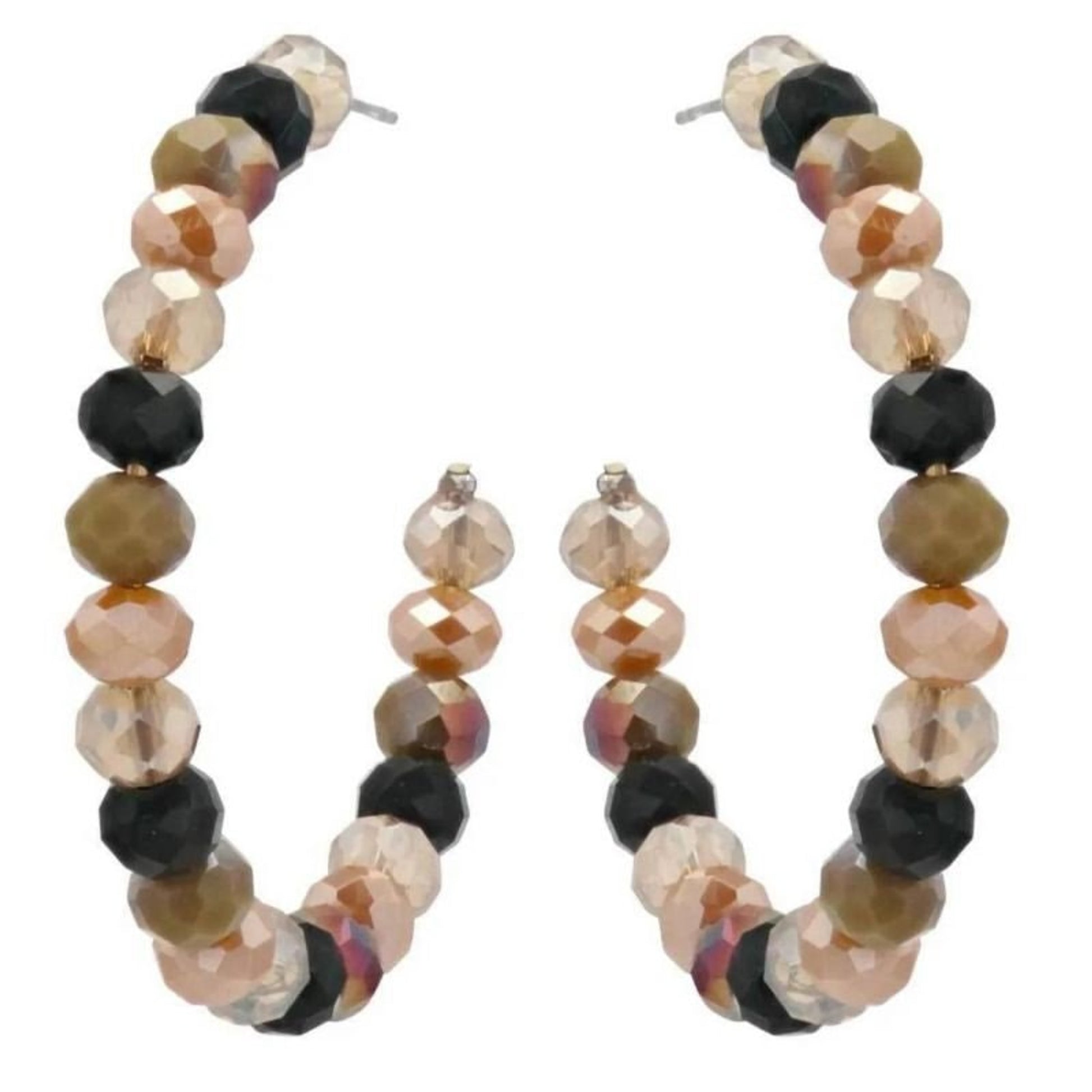 Montana Silversmiths Natures Atttiude Earrings