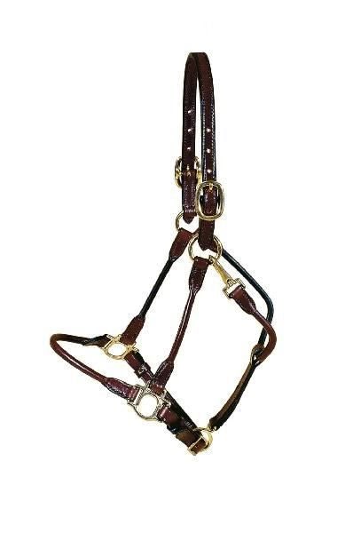 Tory Lthr Arab Halter Brass Hardware Havana