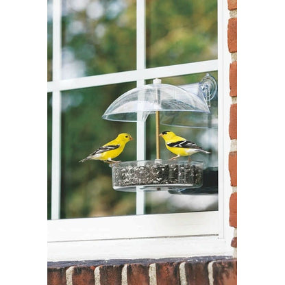 Droll Yankees Winner Window Feeder