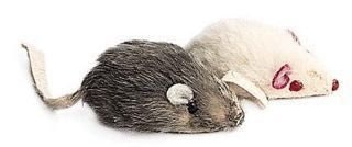 Smooth Fur Mouse 2