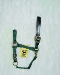 TH200237.jpg