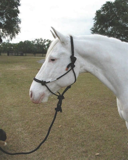 Hamilton Knotted Rope Halter/Lead Horse Black