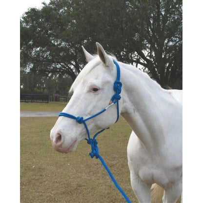 Hamilton Knotted Rope Halter/Lead Horse Black