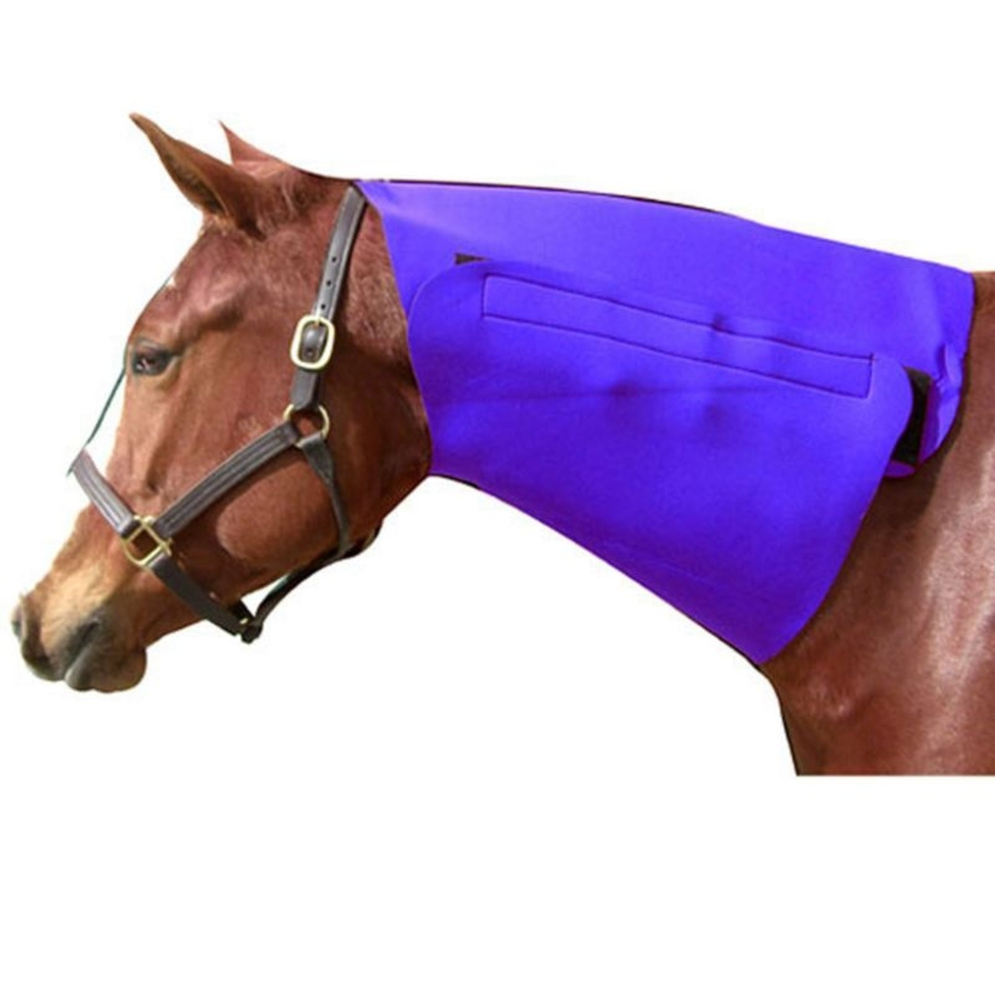 Full Neck Sweat Red Horse