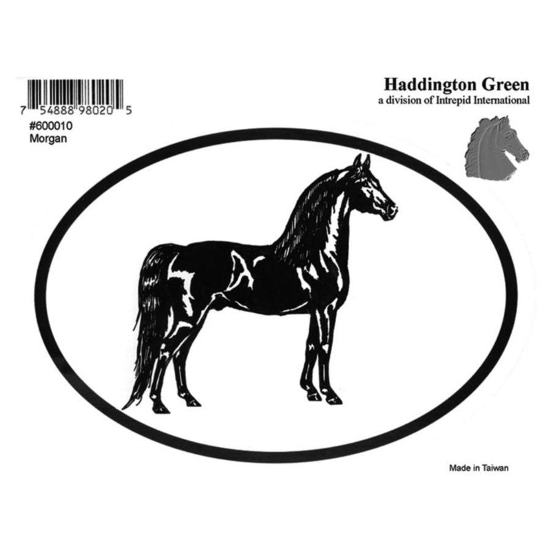 Decal - Morgan - Pack Of 6 5 x 4