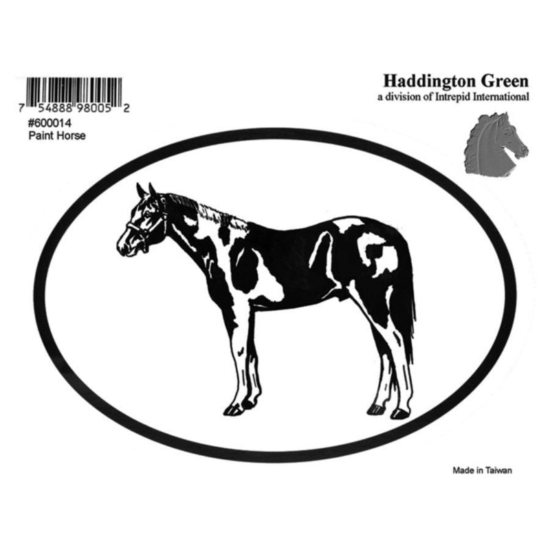 Decal - Paint Horse - Pack Of 6 5 x 4