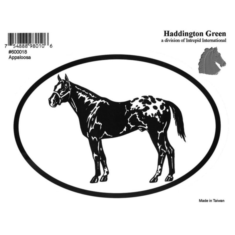 Decal - Appaloosa - Pack Of 6 5 x 4