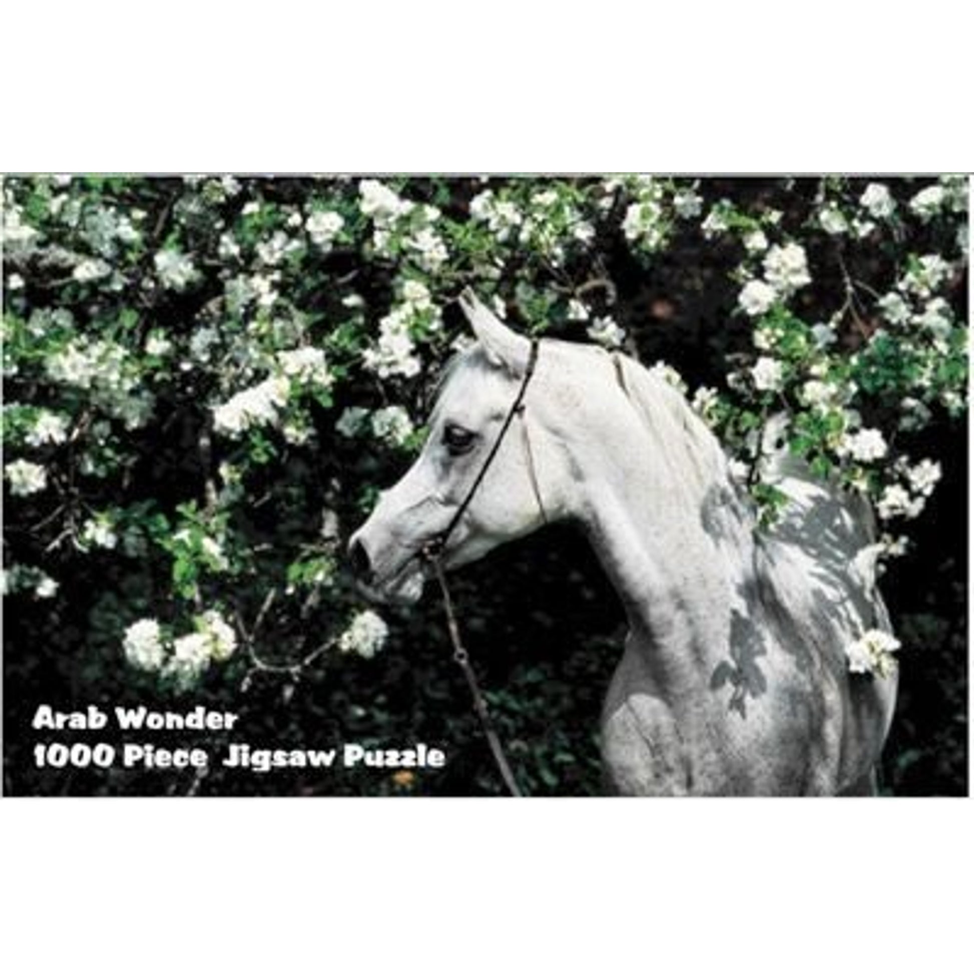 Puzzle - Arabian Dream 1000 Pc