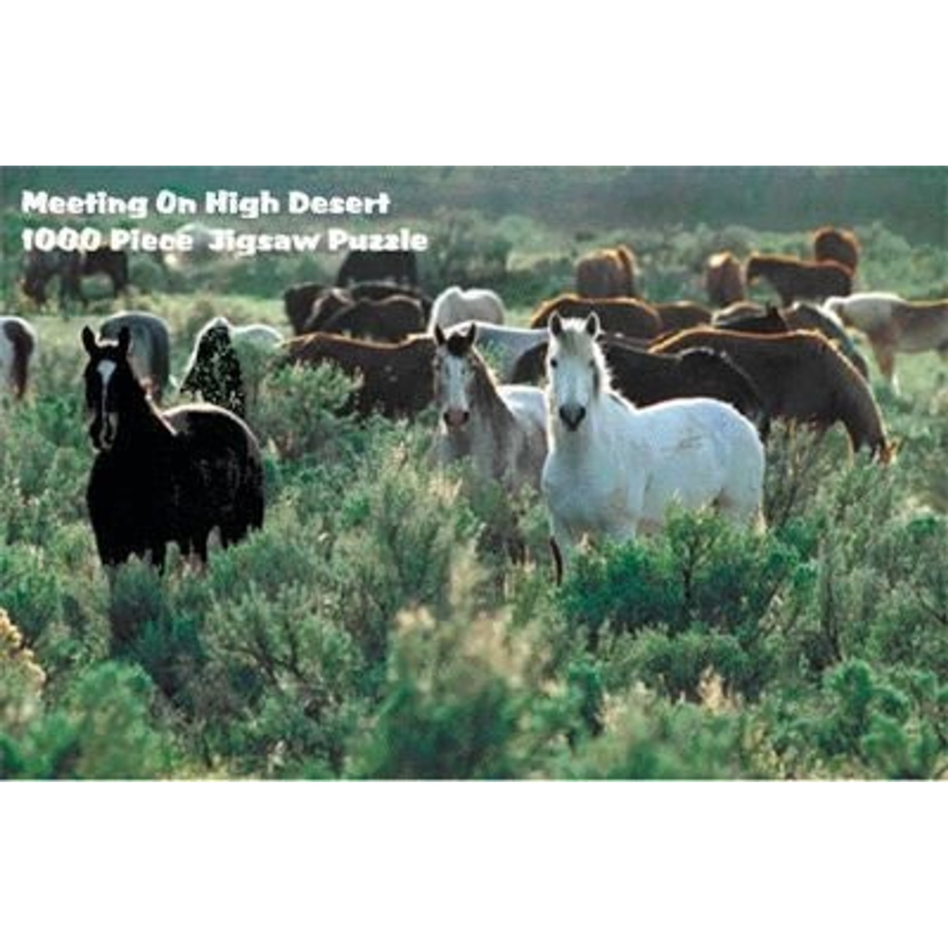 Puzzle - Meeting On High Desert 1000 Pc