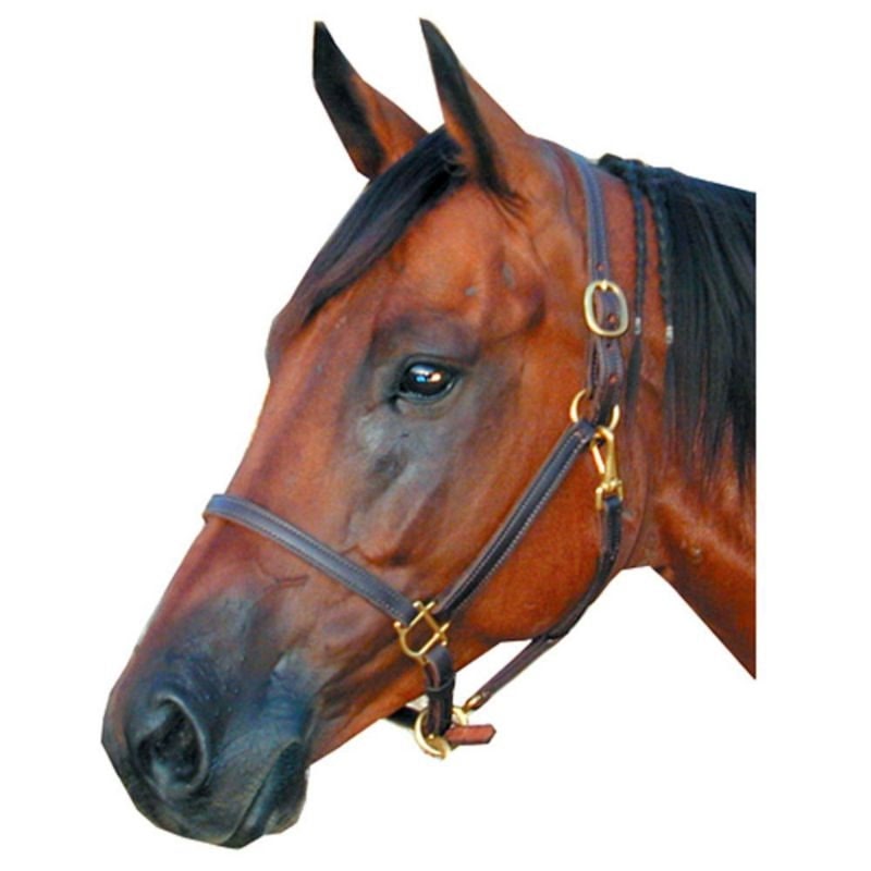 Latigo Lined Leather 3/4 Halter