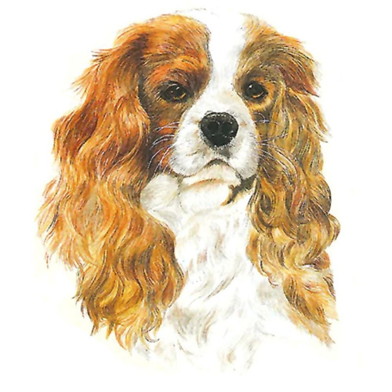 Cavalier King Charles Blenheim Shaped Clock