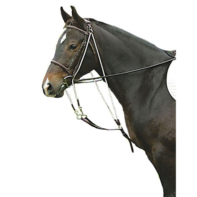 Legacy Degogue