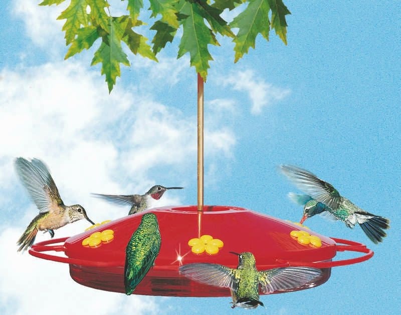 Hummingbird Oasis Feeder 12x4x16 Red