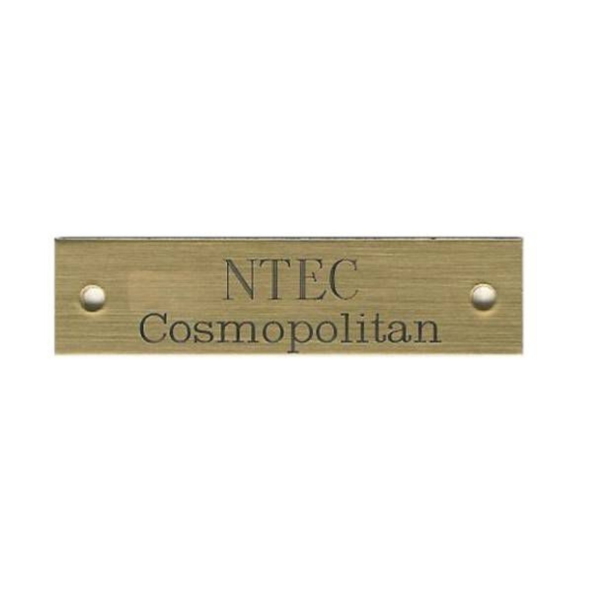 Beveled Style Girth Plate 1/2 X 3 Brass