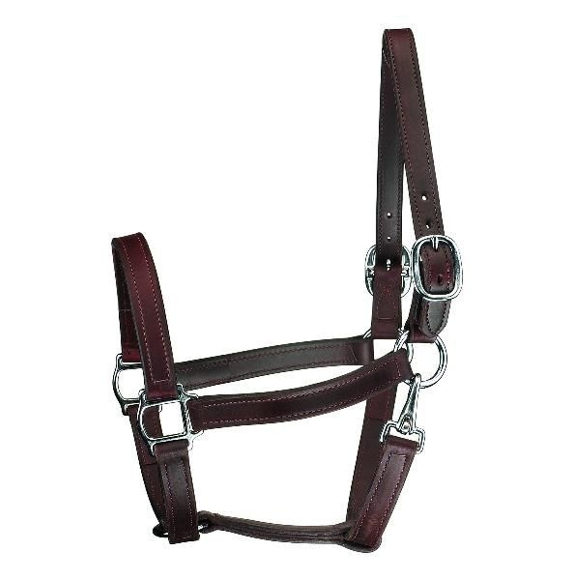 Perris 1In Track T/O Halter with Snap