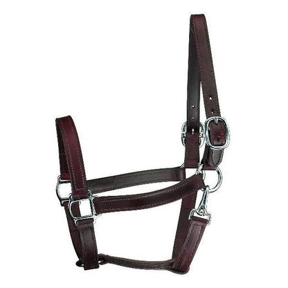 Perris 1In Track T/O Halter with Snap