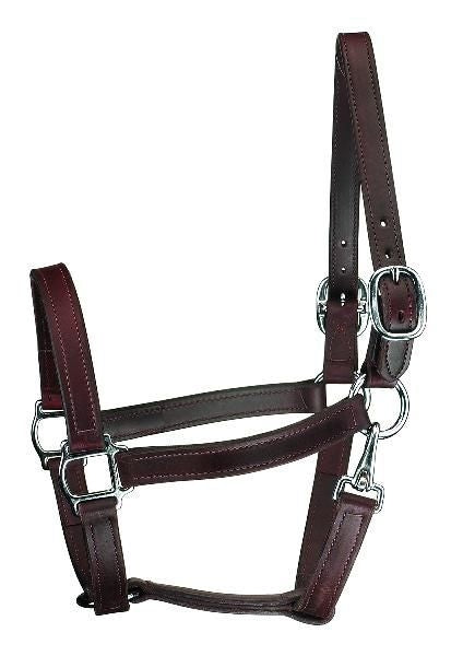 Perris 1In Track T/O Halter with Snap