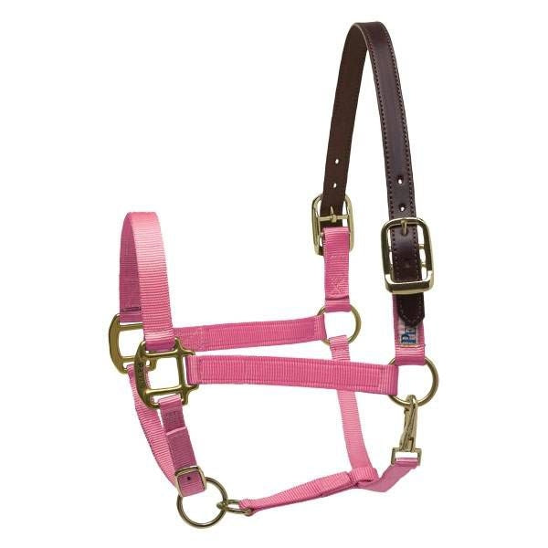 Perris Western Croc Design Halter O/S Black