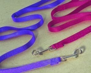 Nylon Lead For Dogs 6 Ft Hot Purple