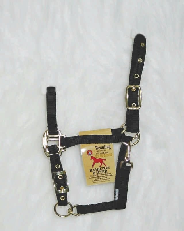 Chin Halter For Weanlings Weanling Black