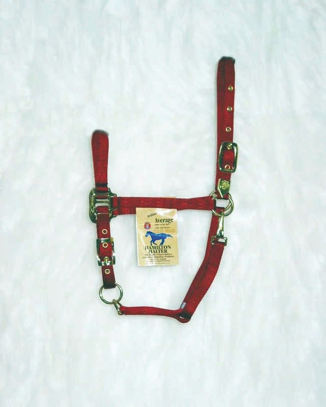 Arabian Horse Halter Average Red