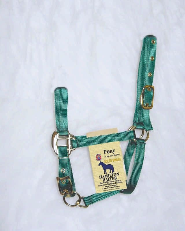 Nylon Chin Halter For Ponies Pony Brn