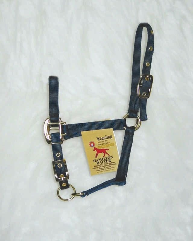 Hamilton Halter with Adjust Chin/Snap Weanling Navy