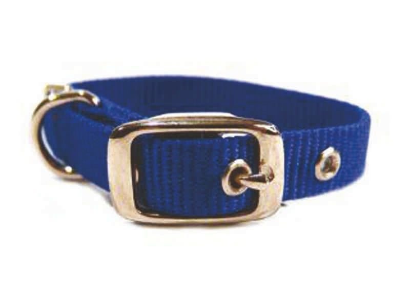 Nylon Dog Collar 12 Inx5/8 In Blu