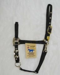Arabian Horse halter Average Black