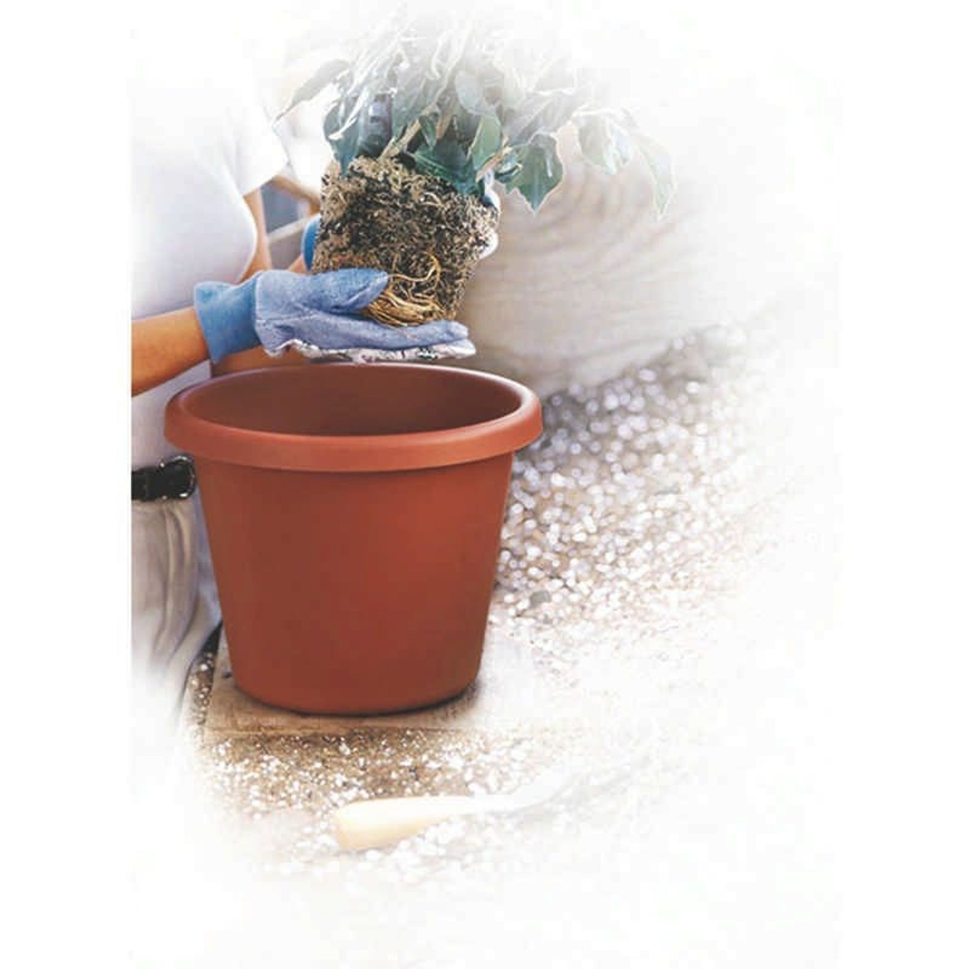 Classic Pot For Planting 12 Inch Clay