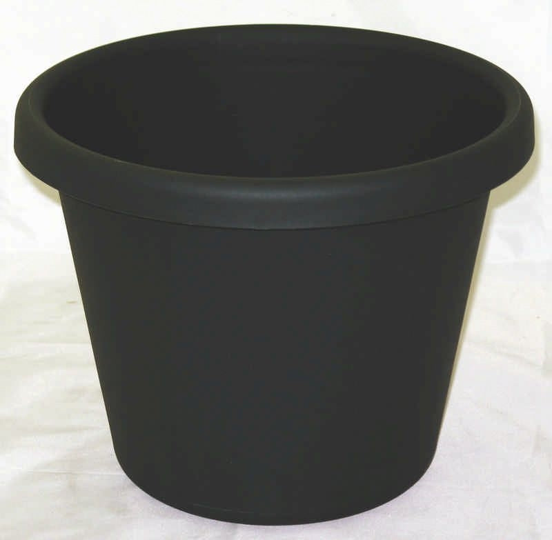 Classic Pot For Planting 10 Inch Evergreen