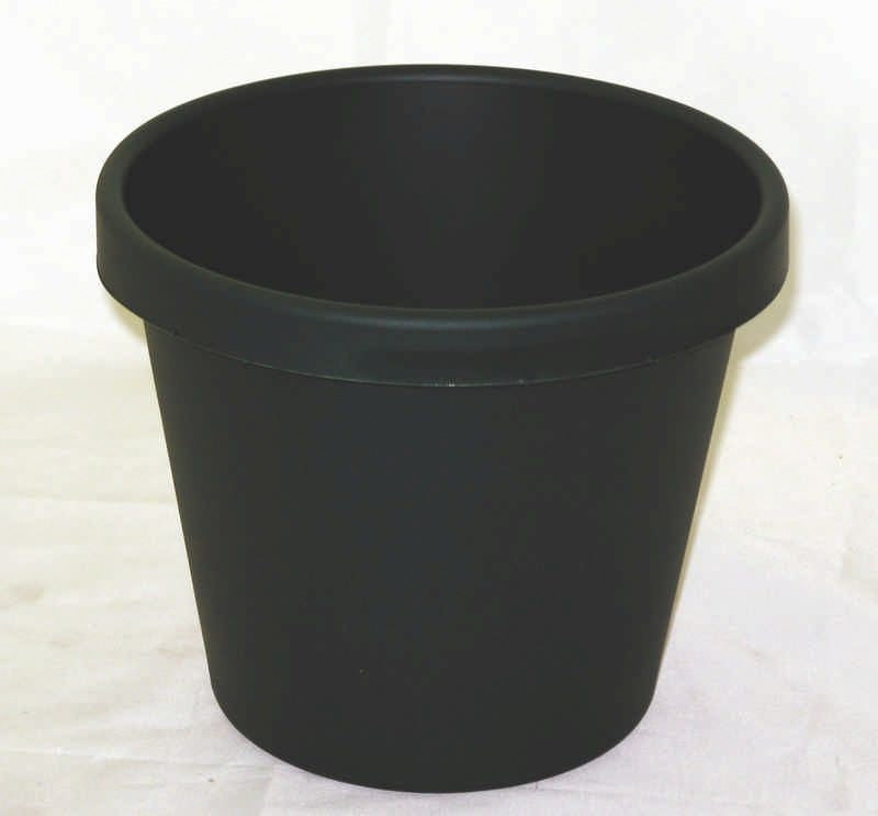 Classic Pot For Planting 8 Inch Evergreen