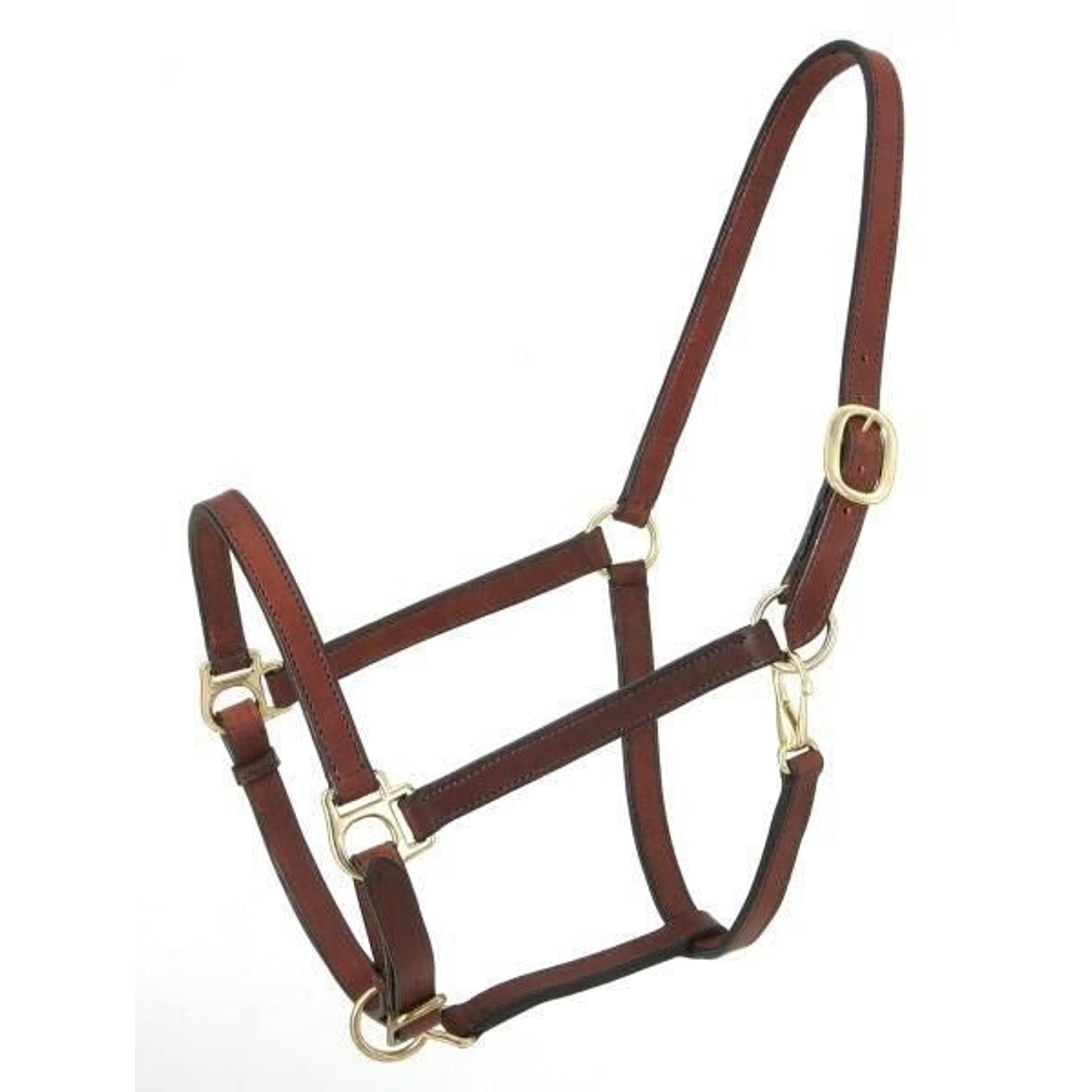 Royal King Narrow Leather Track Halter Horse