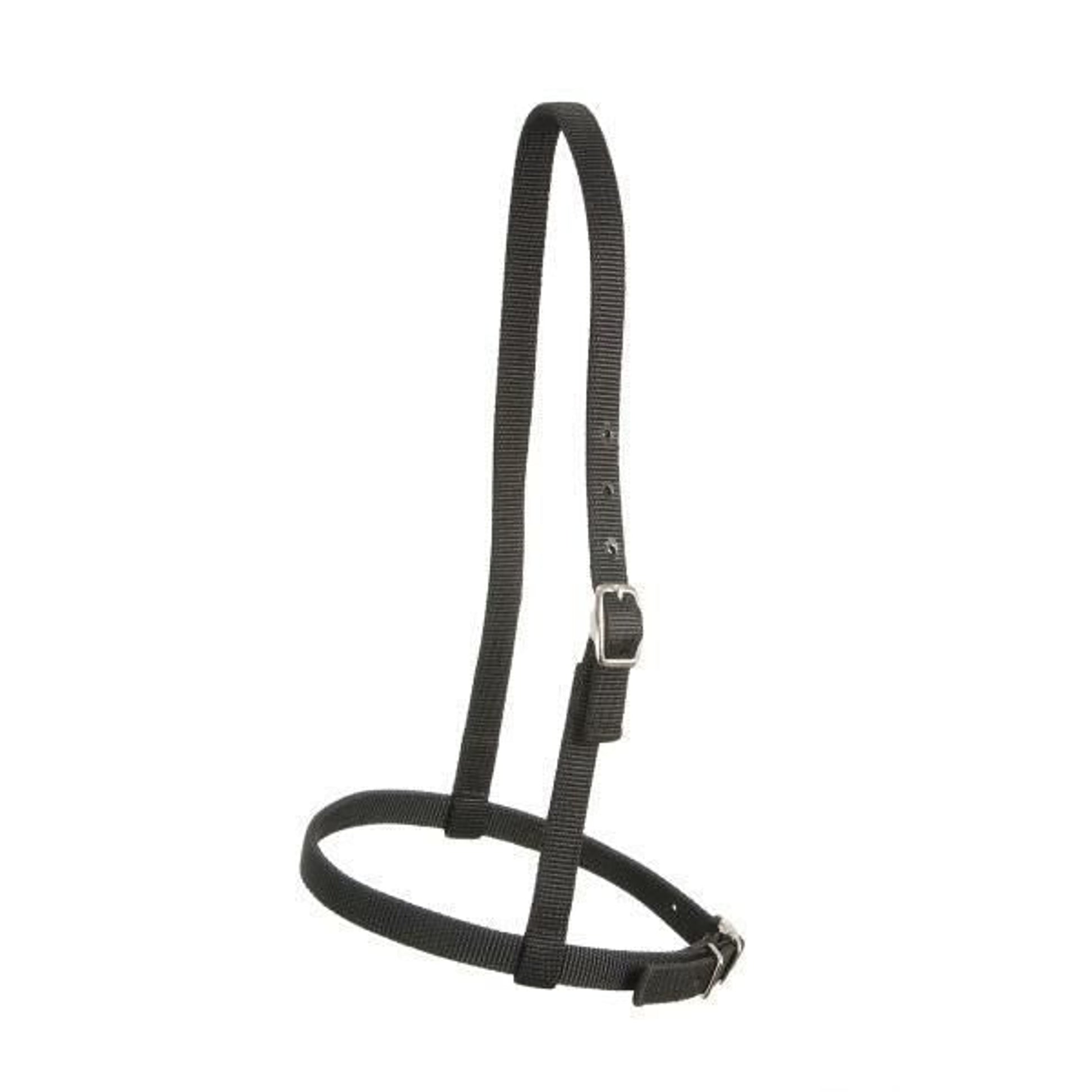 Royal King Nylon Caveson Brn