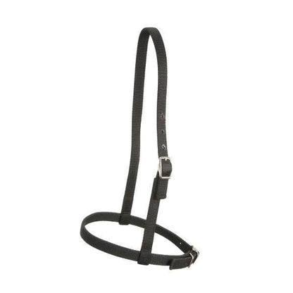 Royal King Nylon Caveson Brn