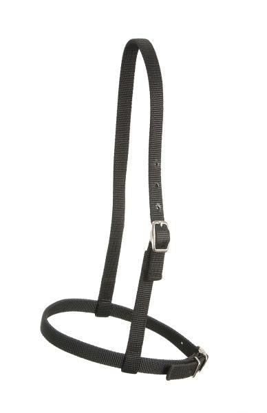 Royal King Nylon Caveson Brn
