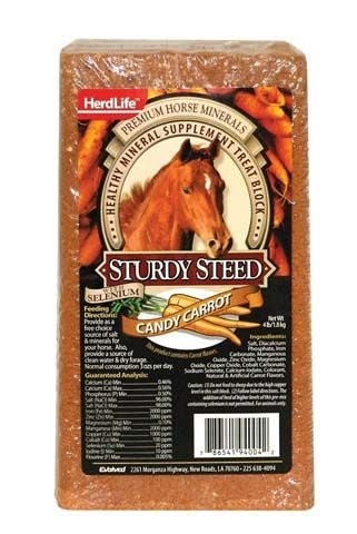 Sturdy Steed Horse Block 4 Lb Carrot
