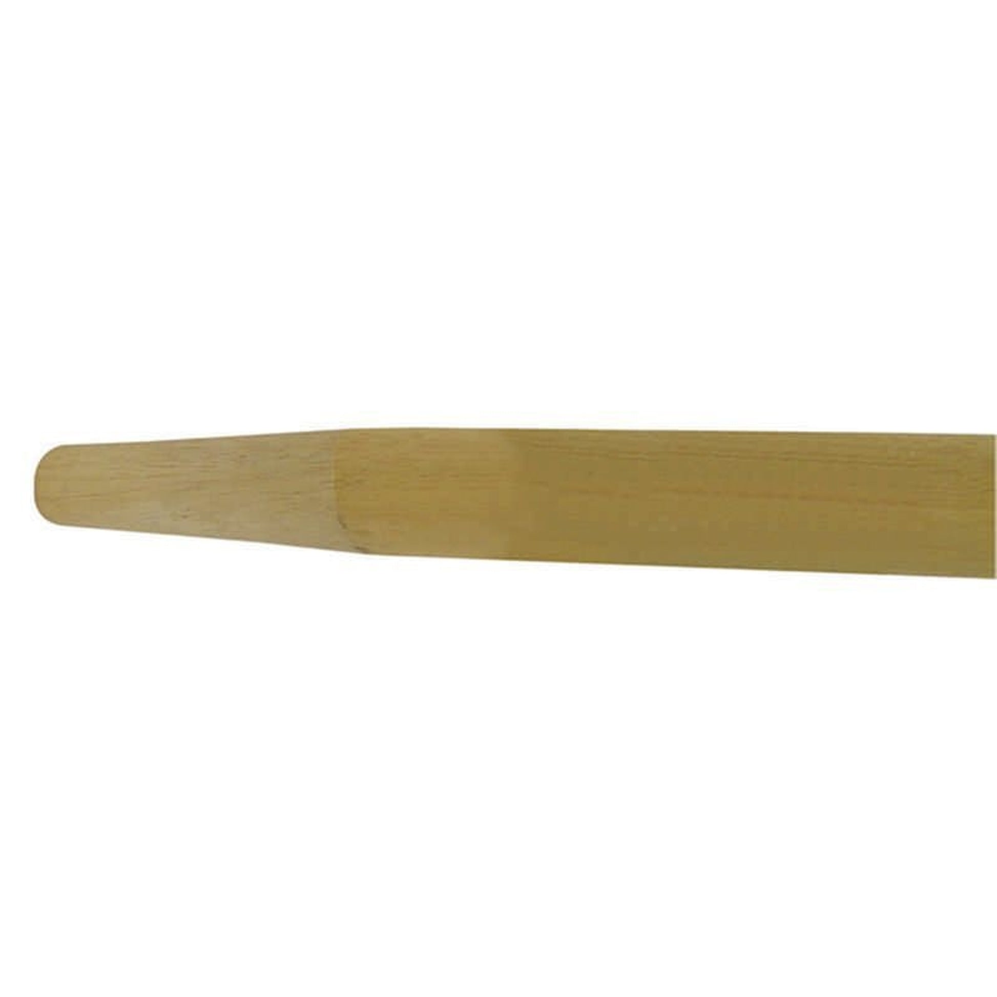 TH308550.jpg