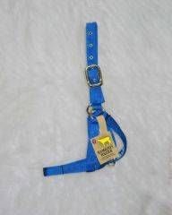 Cow Turn Out Halter 1in Blue