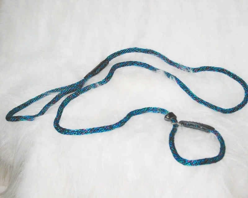 Polyrope Dog Quick Lead Combo 5/16 X6 Blue/Green