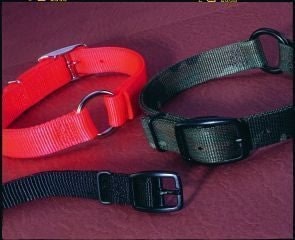 Safe-Rite Dog Collar With Tape 1 X20 Orange