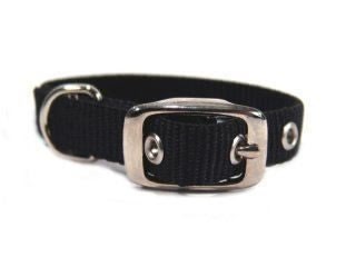 Single Thck Nyln Dlx Dg Collar 5/8 X12 Black