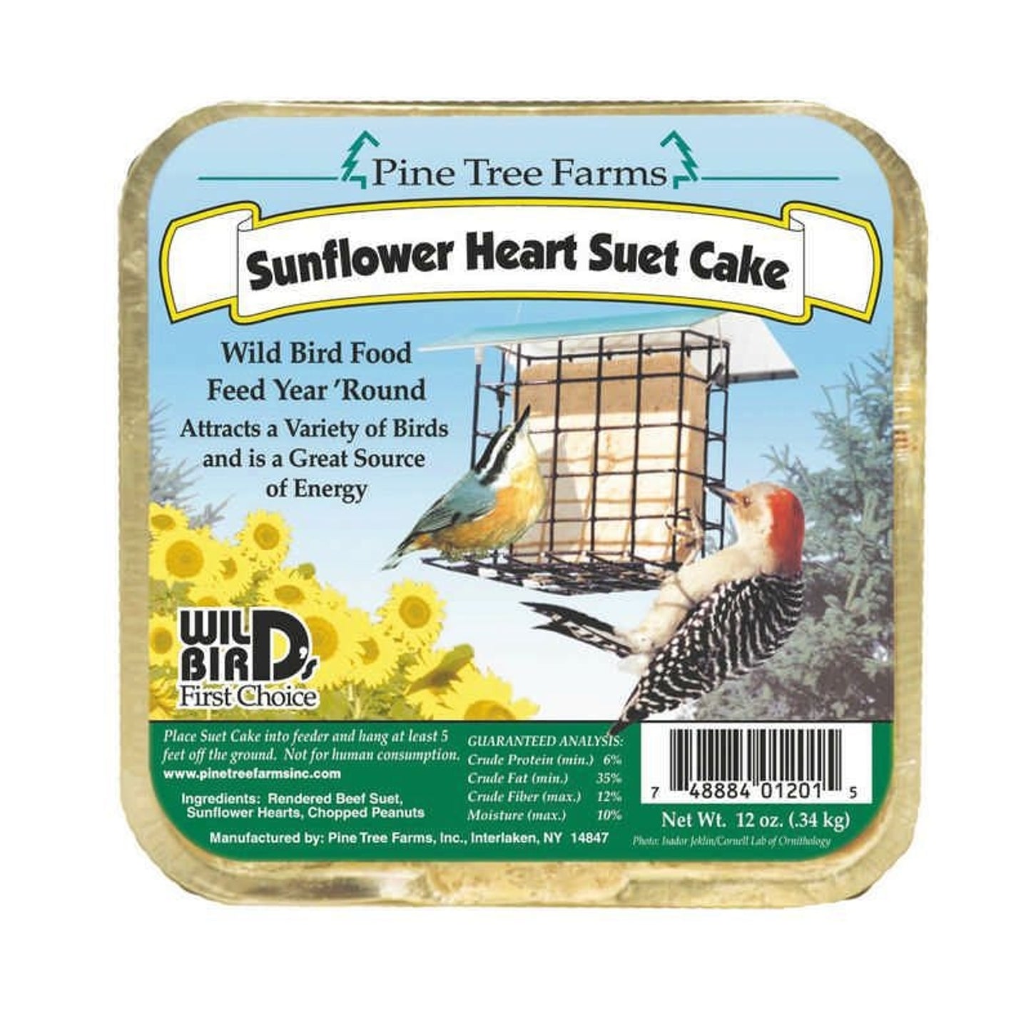 TH311849.jpg